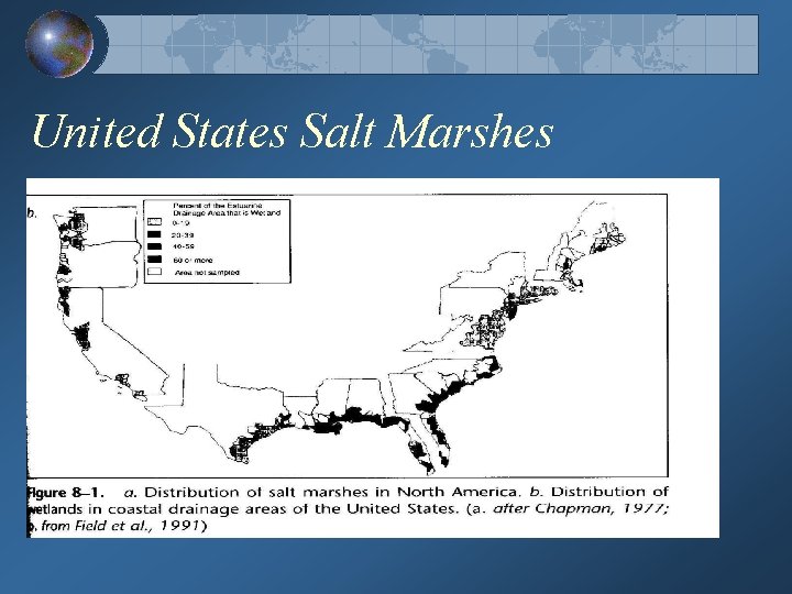 United States Salt Marshes 