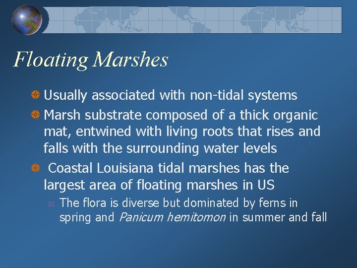 Floating Marshes Usually associated with non-tidal systems Marsh substrate composed of a thick organic