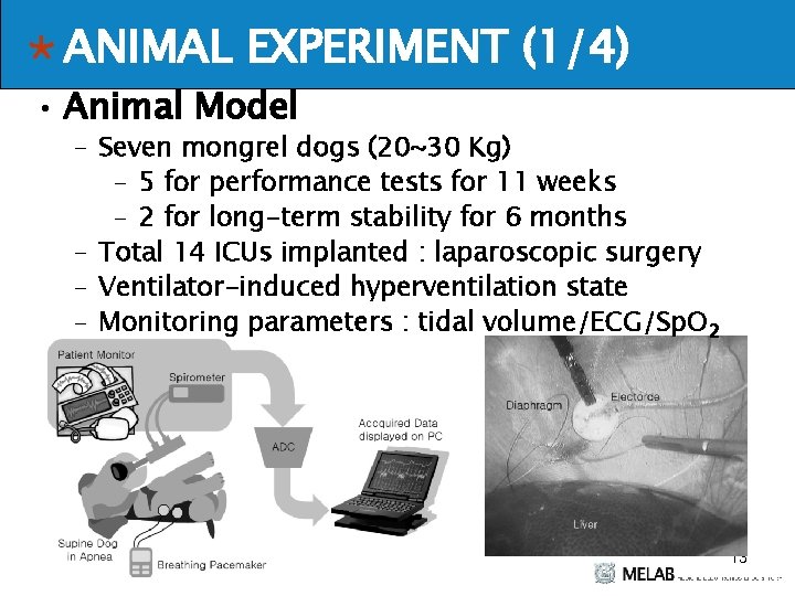 ANIMAL EXPERIMENT (1/4) • Animal Model – Seven mongrel dogs (20~30 Kg) – 5