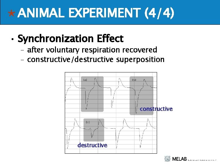 ANIMAL EXPERIMENT (4/4) • Synchronization Effect – after voluntary respiration recovered – constructive/destructive superposition