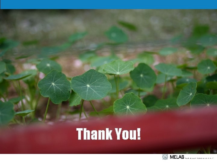 Thank You! 19 