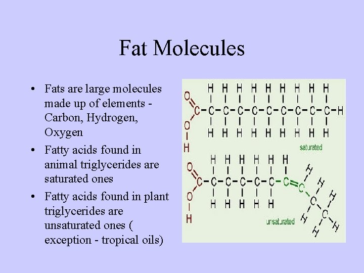 Fat Molecules • Fats are large molecules made up of elements Carbon, Hydrogen, Oxygen
