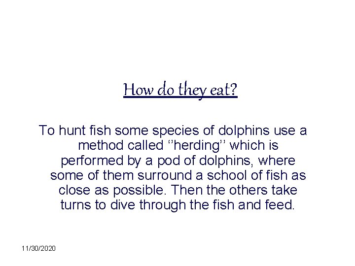 How do they eat? To hunt fish some species of dolphins use a method