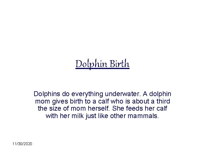 Dolphin Birth Dolphins do everything underwater. A dolphin mom gives birth to a calf