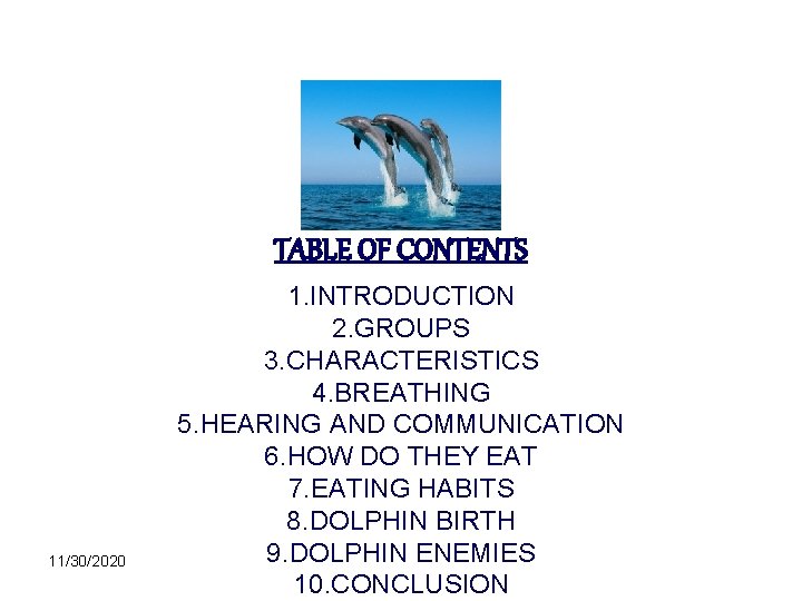 TABLE OF CONTENTS 11/30/2020 1. INTRODUCTION 2. GROUPS 3. CHARACTERISTICS 4. BREATHING 5. HEARING