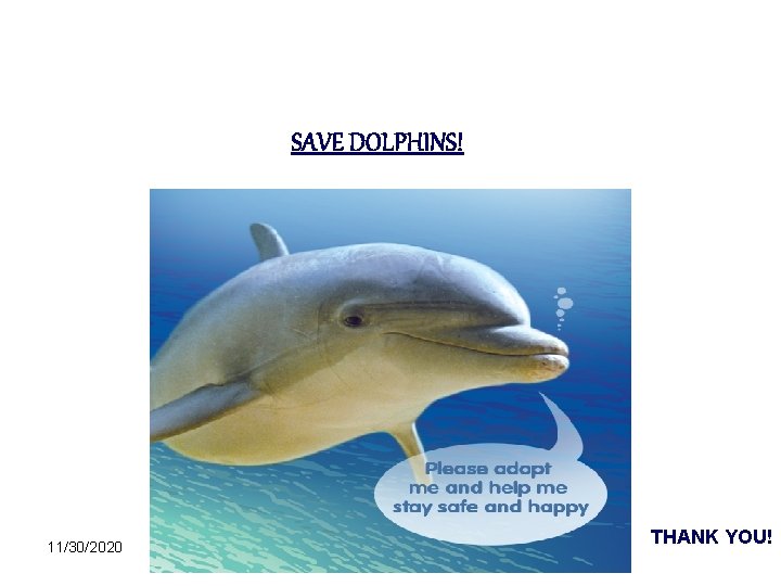 SAVE DOLPHINS! 11/30/2020 THANK YOU! 
