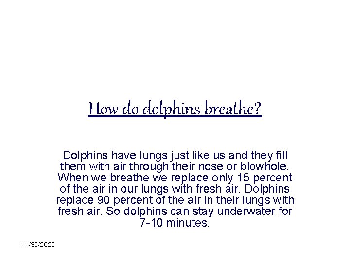 How do dolphins breathe? Dolphins have lungs just like us and they fill them
