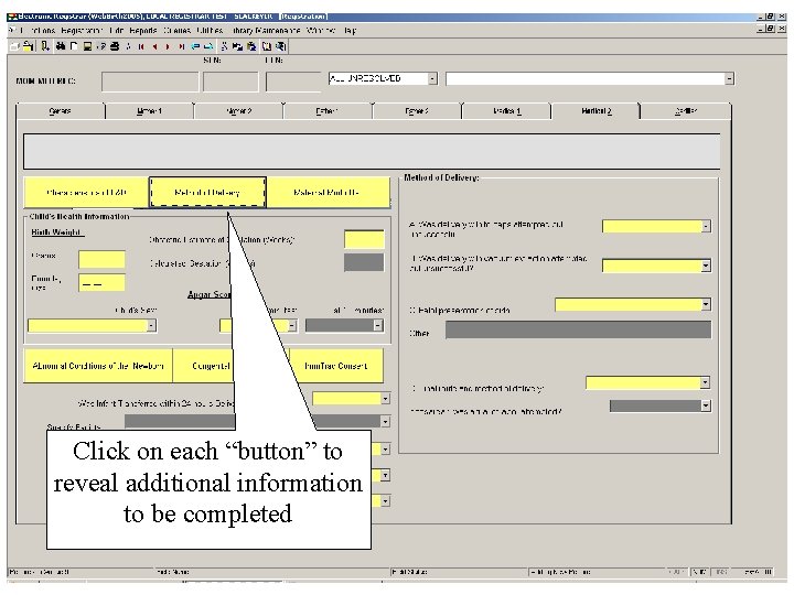 Click on each “button” to reveal additional information to be completed 