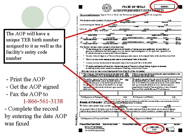 The AOP will have a unique TER birth number assigned to it as well