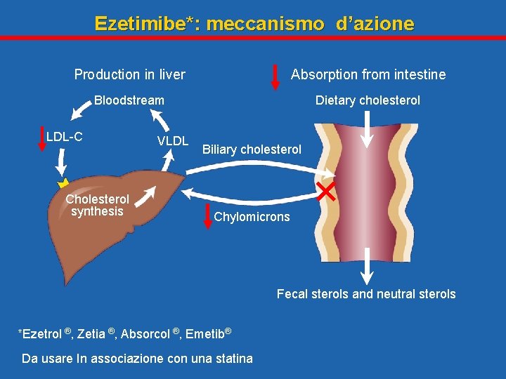 Ezetimibe*: meccanismo d’azione Production in liver Absorption from intestine Bloodstream Dietary cholesterol LDL-C Cholesterol