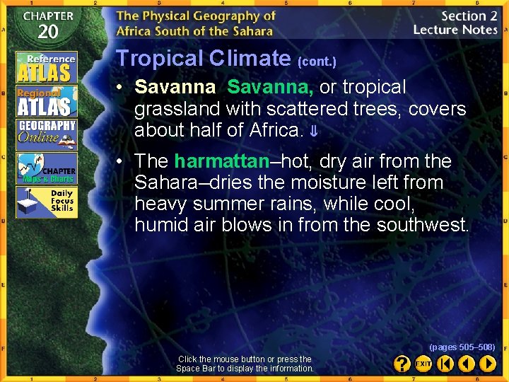 Tropical Climate (cont. ) • Savanna, or tropical grassland with scattered trees, covers about