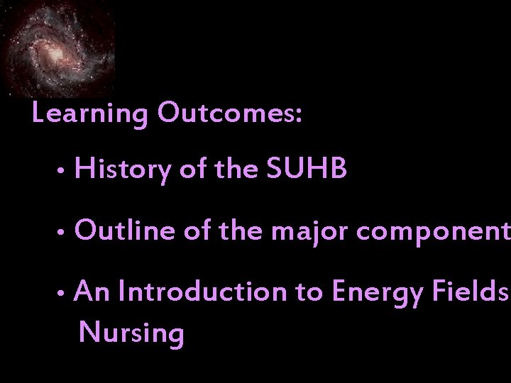 Learning Outcomes: • History of the SUHB • Outline of the major component •
