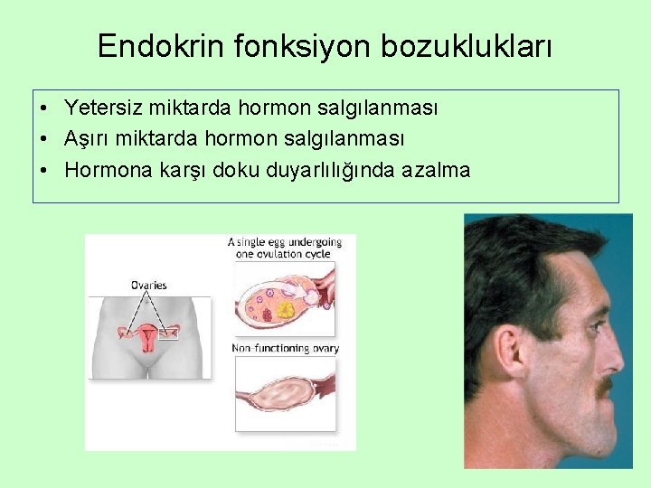 Endokrin fonksiyon bozuklukları • Yetersiz miktarda hormon salgılanması • Aşırı miktarda hormon salgılanması •