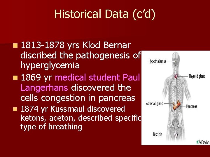 Historical Data (c’d) n 1813 -1878 yrs Klod Bernar discribed the pathogenesis of hyperglycemia