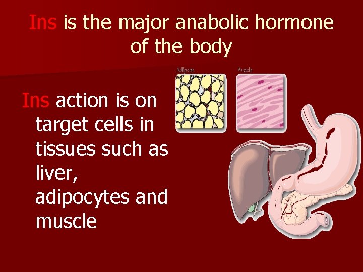 Ins is the major anabolic hormone of the body Ins action is on target