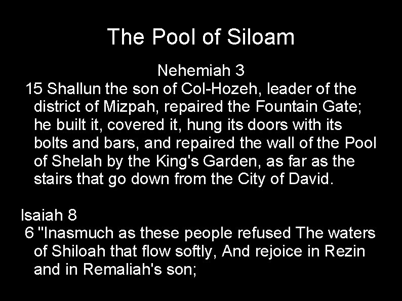 The Pool of Siloam Nehemiah 3 15 Shallun the son of Col-Hozeh, leader of