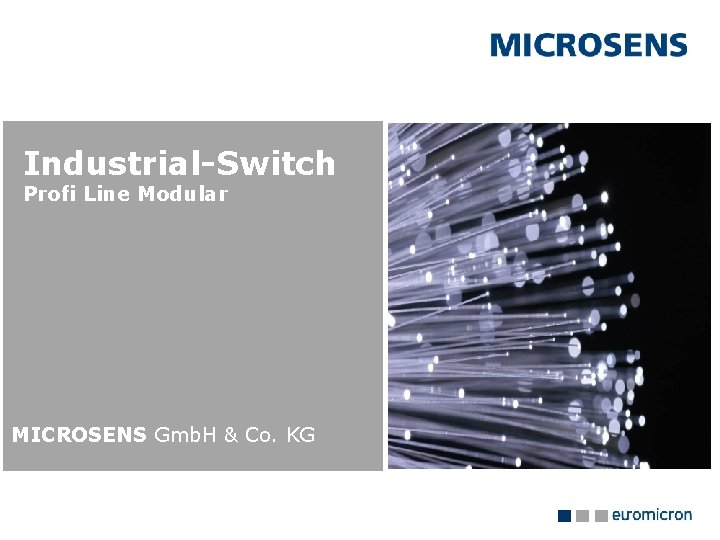 Industrial-Switch Profi Line Modular MICROSENS Gmb. H & Co. KG 