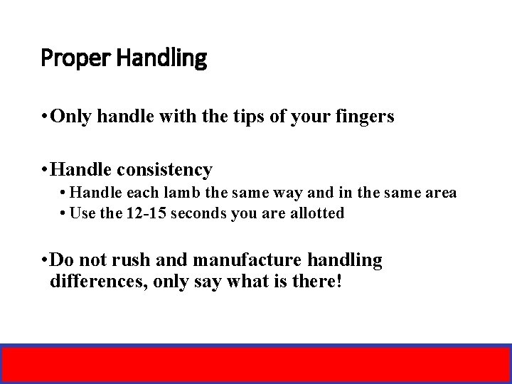 Proper Handling • Only handle with the tips of your fingers • Handle consistency