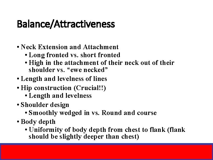 Balance/Attractiveness • Neck Extension and Attachment • Long fronted vs. short fronted • High