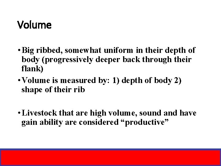 Volume • Big ribbed, somewhat uniform in their depth of body (progressively deeper back