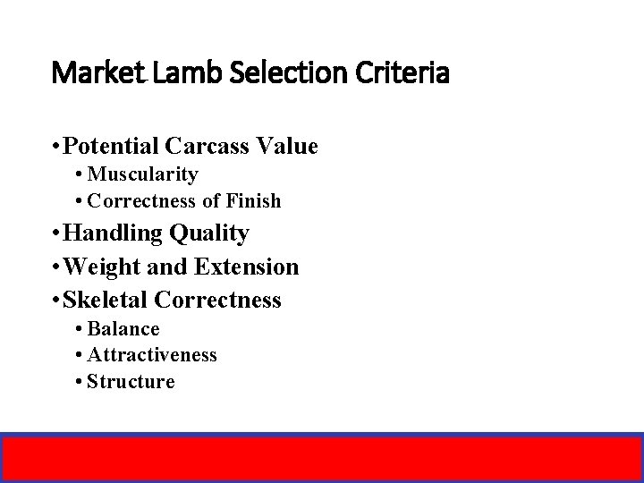 Market Lamb Selection Criteria • Potential Carcass Value • Muscularity • Correctness of Finish