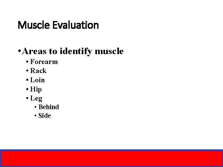 Muscle Evaluation • Areas to identify muscle • Forearm • Rack • Loin •