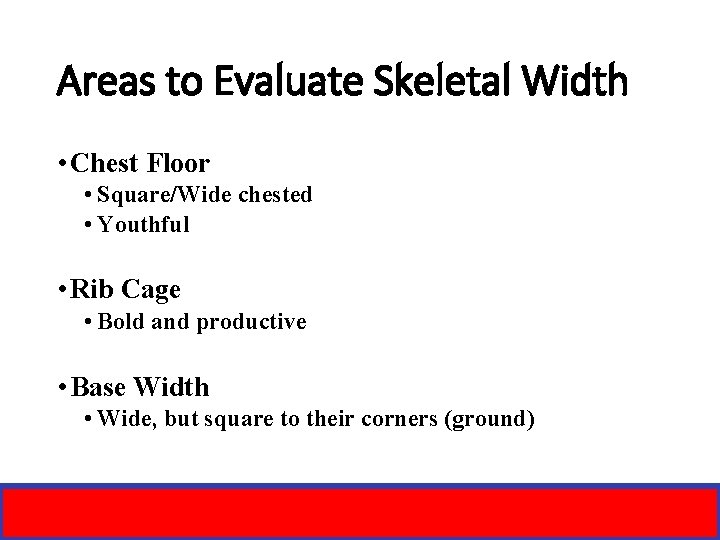 Areas to Evaluate Skeletal Width • Chest Floor • Square/Wide chested • Youthful •