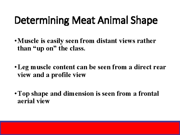 Determining Meat Animal Shape • Muscle is easily seen from distant views rather than