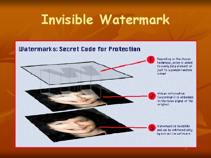 Invisible Watermark 