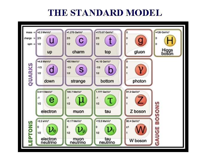 THE STANDARD MODEL 