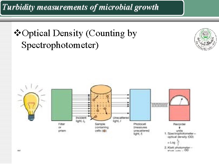 Turbidity measurements of microbial growth v. Optical Density (Counting by Spectrophotometer) 
