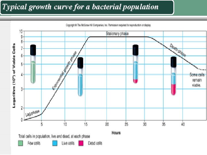 Typical growth curve for a bacterial population 