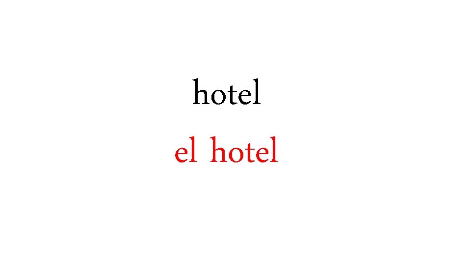 hotel el hotel 