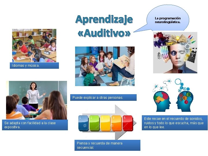 Aprendizaje «Auditivo» La programación neurolingüística. Idiomas y música. Puede explicar a otras personas. Este