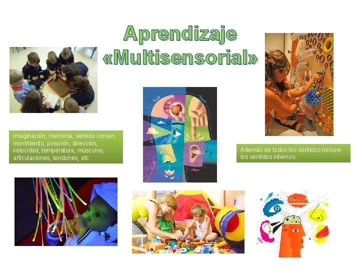 Aprendizaje «Multisensorial» Imaginación, memoria, sentido común, movimiento, posición, dirección, velocidad, temperatura, músculos, articulaciones, tendones,