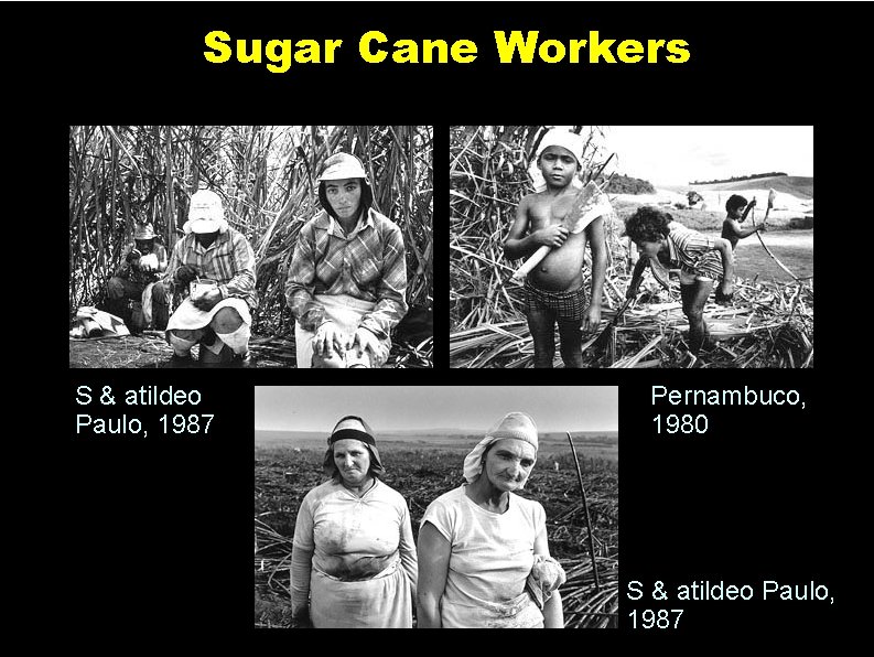Sugar Cane Workers S & atildeo Paulo, 1987 Pernambuco, 1980 S & atildeo Paulo,