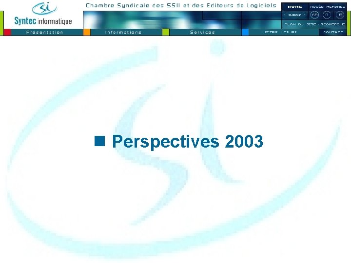 n Perspectives 2003 