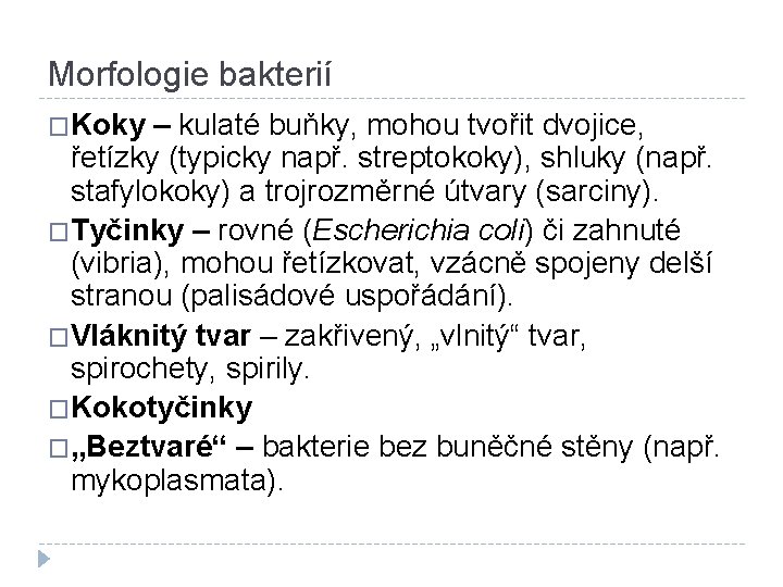 Morfologie bakterií �Koky – kulaté buňky, mohou tvořit dvojice, řetízky (typicky např. streptokoky), shluky