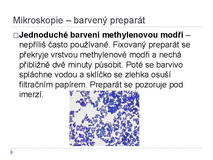 Mikroskopie – barvený preparát �Jednoduché barvení methylenovou modří – nepříliš často používané. Fixovaný preparát
