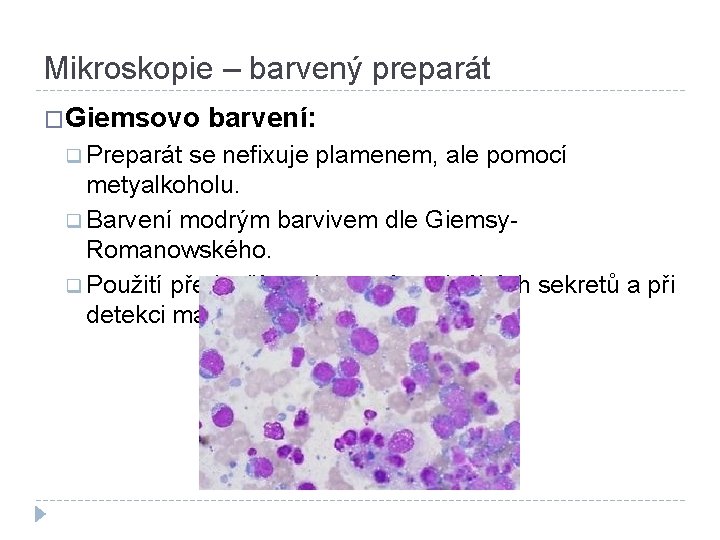 Mikroskopie – barvený preparát �Giemsovo barvení: q Preparát se nefixuje plamenem, ale pomocí metyalkoholu.