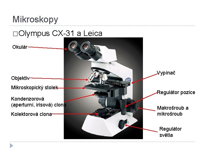 Mikroskopy �Olympus CX-31 a Leica Okulár Objektiv Mikroskopický stolek Kondenzorová (aperturní, irisová) clona Kolektorová