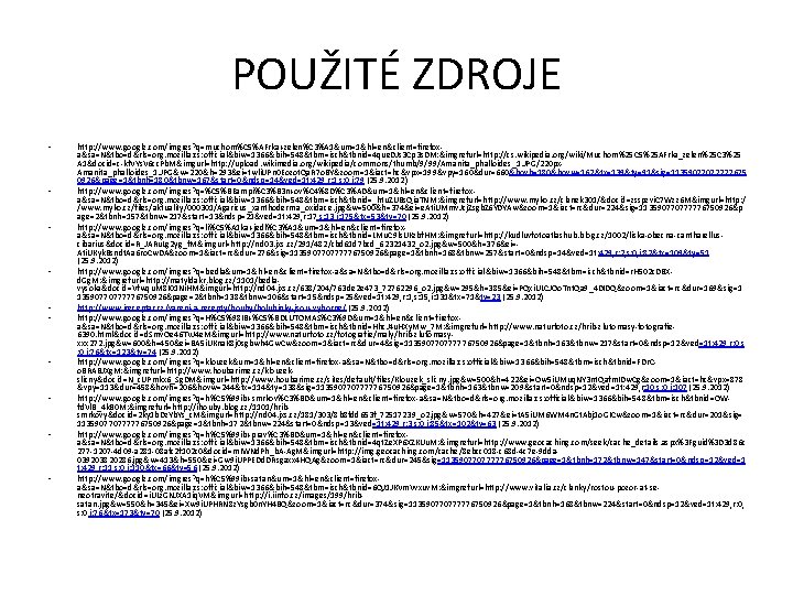 POUŽITÉ ZDROJE • • • http: //www. google. com/imgres? q=muchom%C 5%AFrka+zelen%C 3%A 1&um=1&hl=en&client=firefoxa&sa=N&tbo=d&rls=org. mozilla: