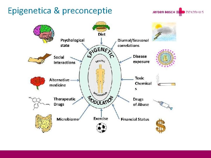 Epigenetica & preconceptie 