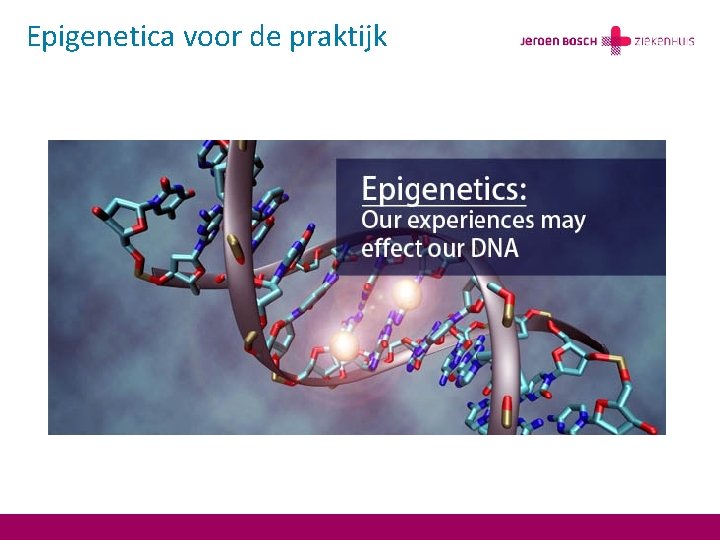 Epigenetica voor de praktijk 