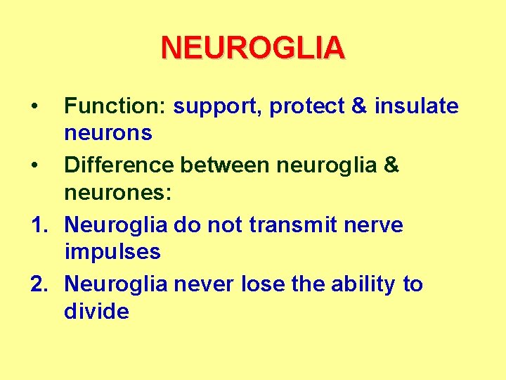 NEUROGLIA • Function: support, protect & insulate neurons • Difference between neuroglia & neurones: