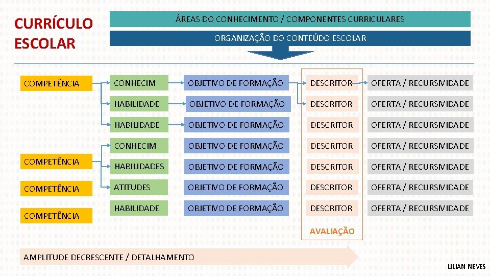 CURRÍCULO ESCOLAR COMPETÊNCIA ÁREAS DO CONHECIMENTO / COMPONENTES CURRICULARES ORGANIZAÇÃO DO CONTEÚDO ESCOLAR CONHECIM