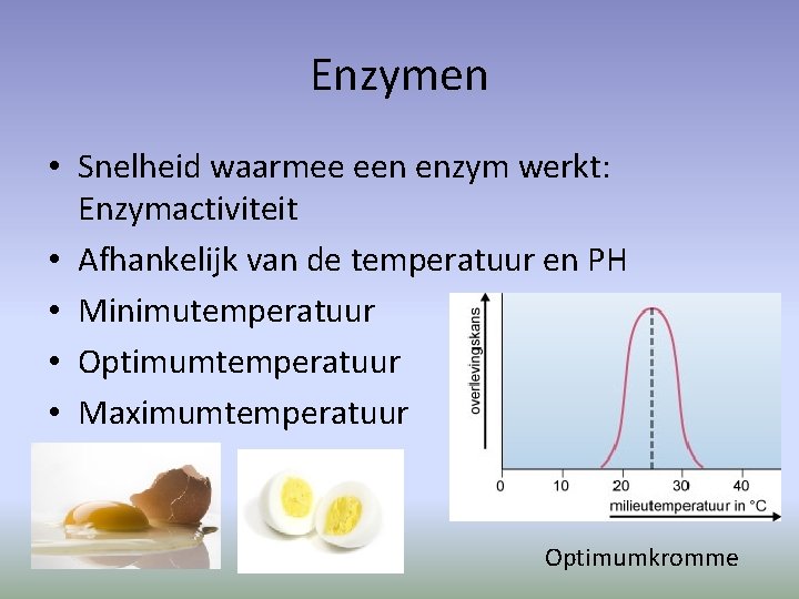 Enzymen • Snelheid waarmee een enzym werkt: Enzymactiviteit • Afhankelijk van de temperatuur en