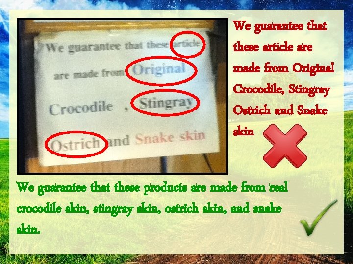 We guarantee that these article are made from Original Crocodile, Stingray Ostrich and Snake
