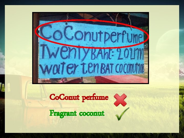 Co. Conut perfume Fragrant coconut 