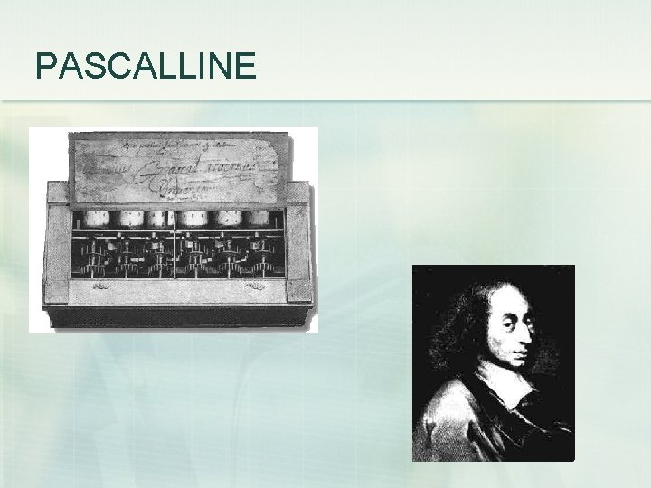 PASCALLINE 